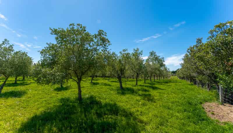 801 Rolling Ridges Road, Levels Valley