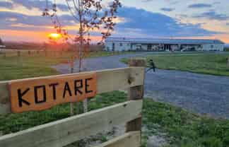 Hawkes Bay - Address withheld