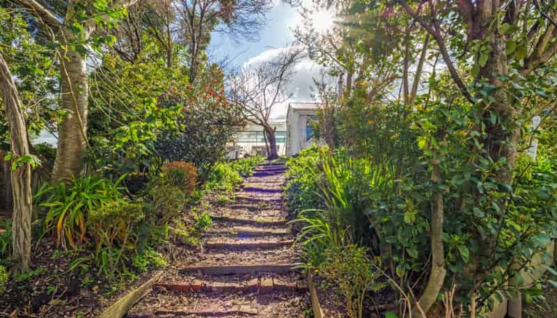 75 Vogel Street, Woodville