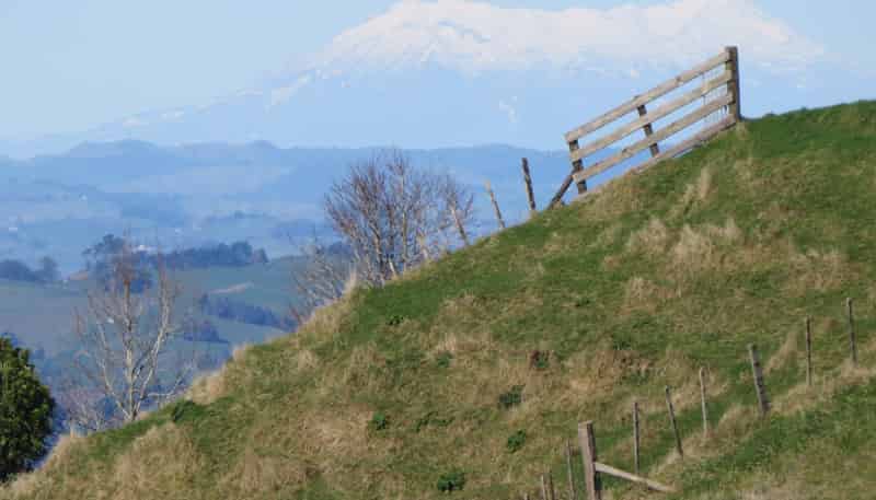 412 Pekanui Road, Pirongia