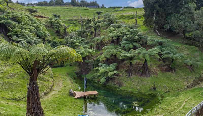 412 Pekanui Road, Pirongia