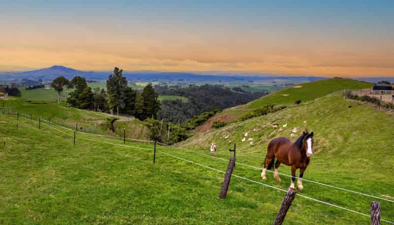 412 Pekanui Road, Pirongia
