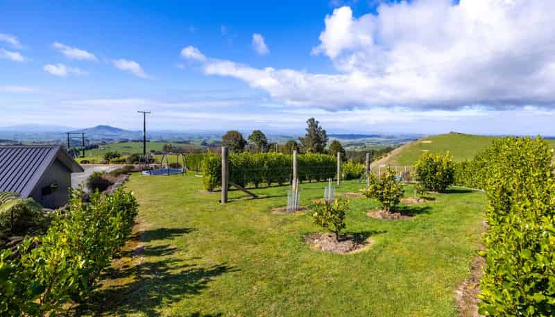 412 Pekanui Road, Pirongia