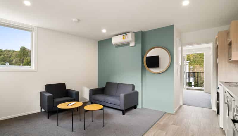 7, 9, 11/33 Malvern Street, Woodhaugh