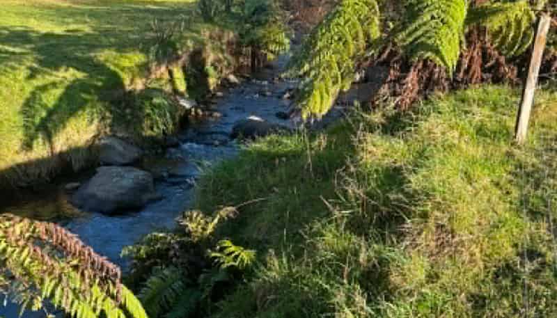 Lot 1 / 229 Hurford Rd, Omata