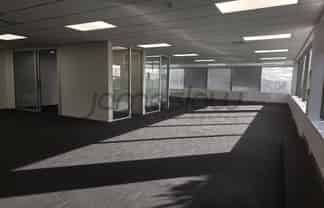 Greenlane Central Office 323sqm + 8 Carparks