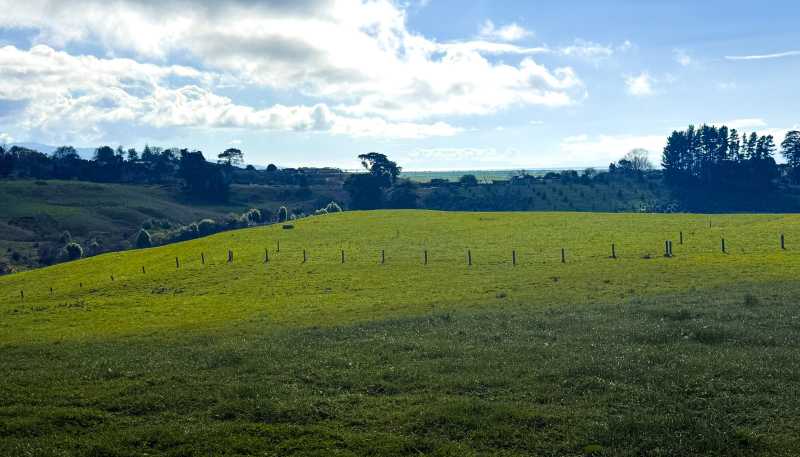 927 Findlay Road, Hauraki Surrounds