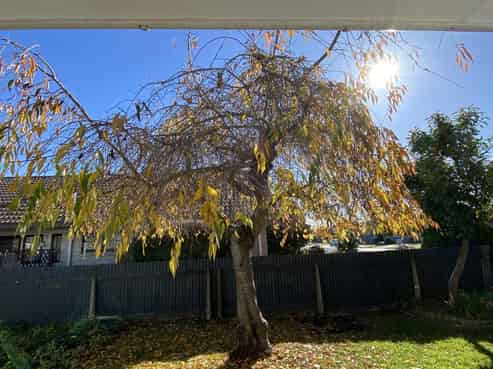 102 Gascoigne Street, Raureka