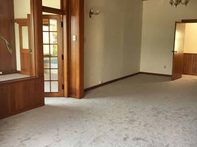 3/82 Oriental Parade, Oriental Bay