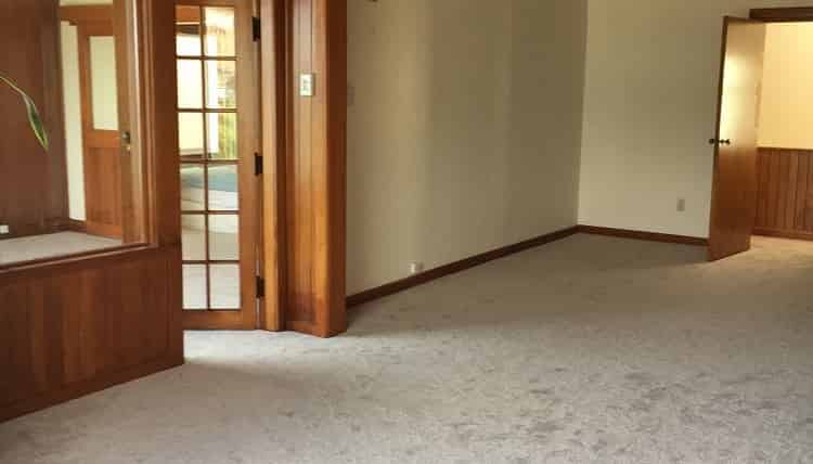 3/82 Oriental Parade, Oriental Bay