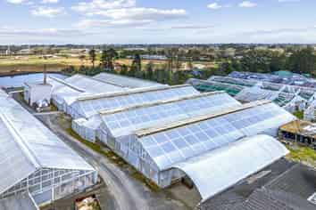Rare Greenhouse Facility for Lease