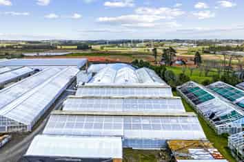 Rare Greenhouse Facility for Lease