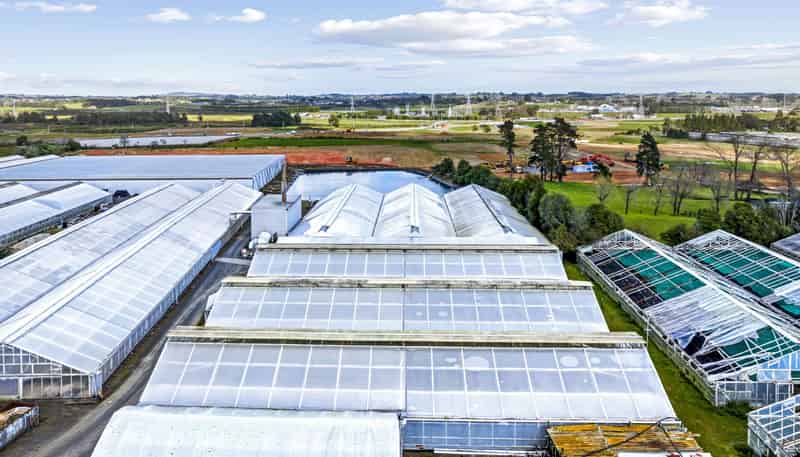 445 Fitzgerald Road, Drury