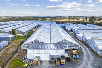 Rare Greenhouse Facility for Lease