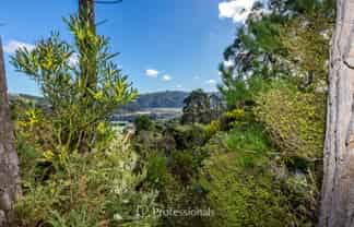 111 and 11 Blue Mountains Road, Blue Mountains