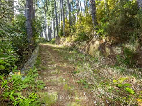 111 and 113 Blue Mountains Road, Blue Mountains