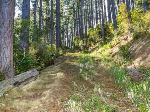 111 and 113 Blue Mountains Road, Blue Mountains