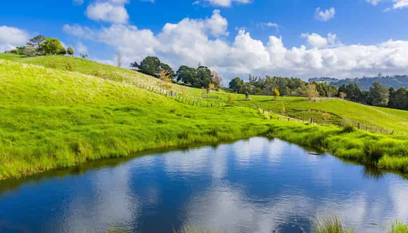 118 Paparoa Station Road, Paparoa