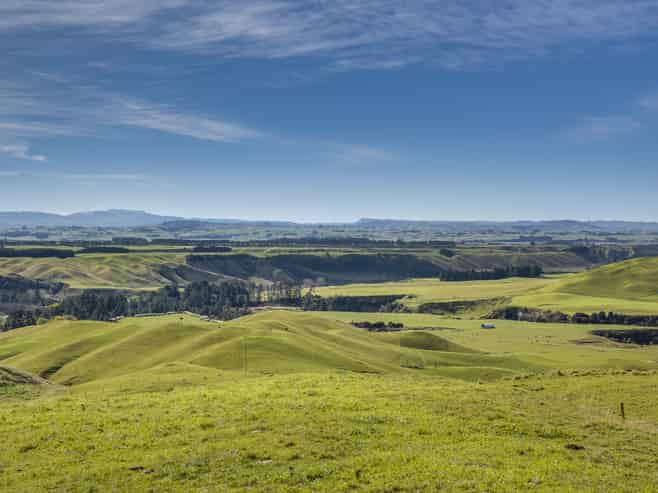1233 Kereru Road, Maraekakaho