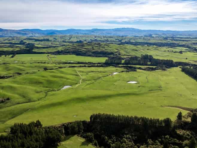 1233 Kereru Road, Maraekakaho
