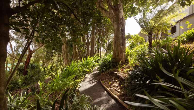 289 Pahoia Road, Whakamarama