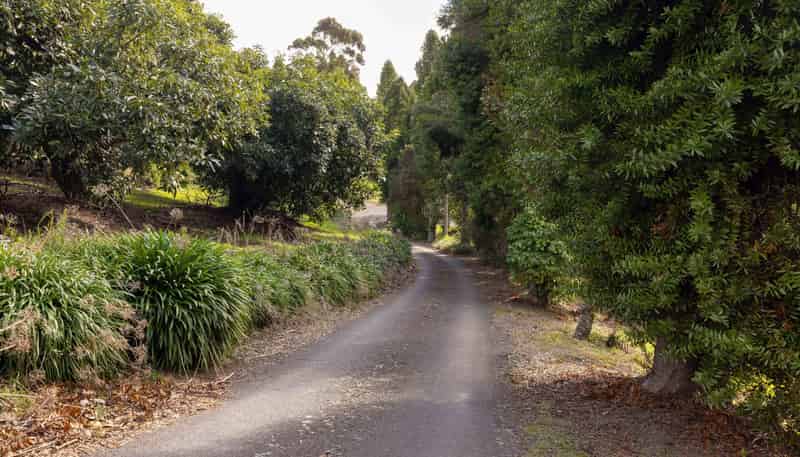 289 Pahoia Road, Whakamarama