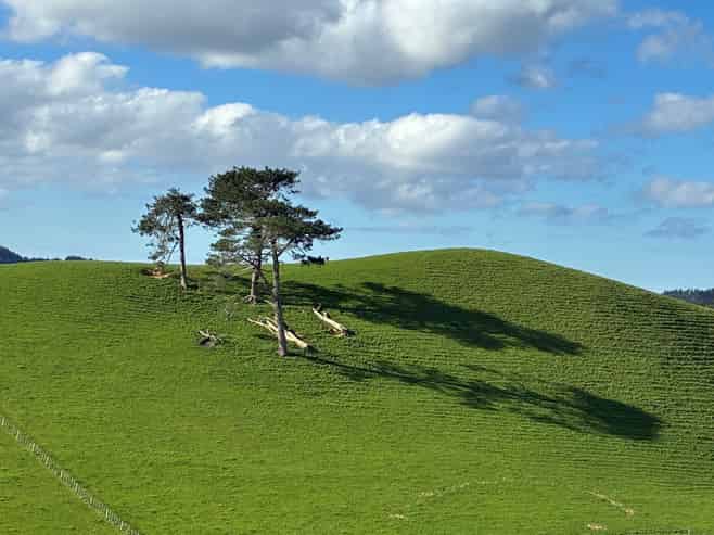 643 Whareora Road, Whareora