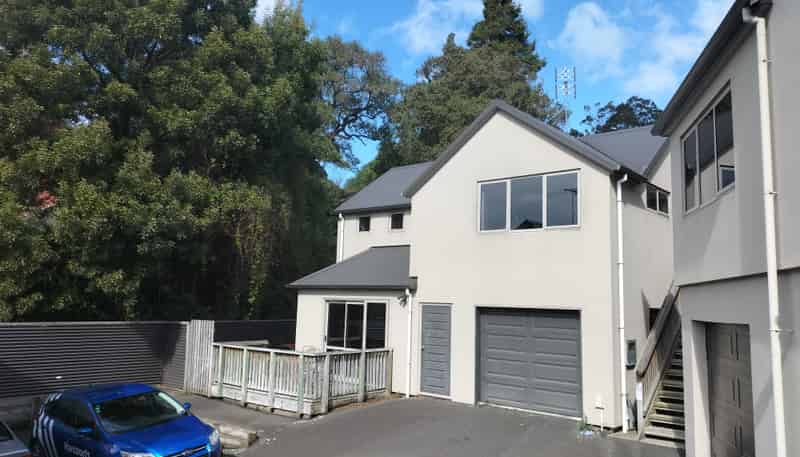 B/45 Lees Street, Dunedin Central