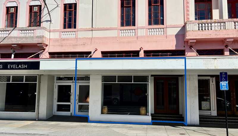 59 Dalton Street, Napier South