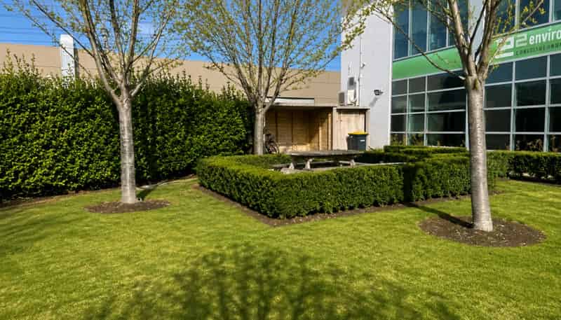 46 Acheron Drive , Riccarton