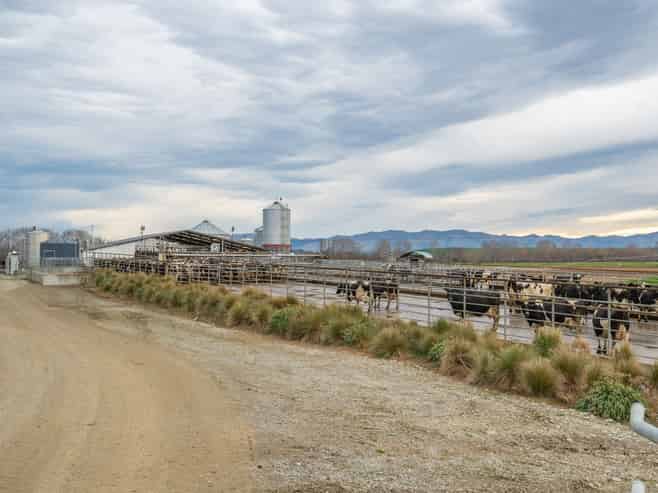 238 Pooke Road, Pareora