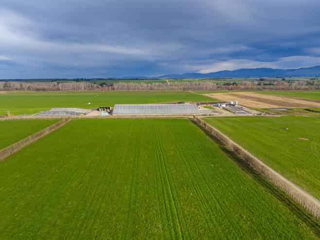 238 Pooke Road, Pareora