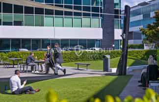 Flexible 822m² Office in Prime Ellerslie Location