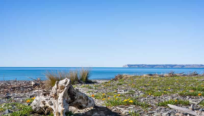 16 Hinepango Drive, Rarangi
