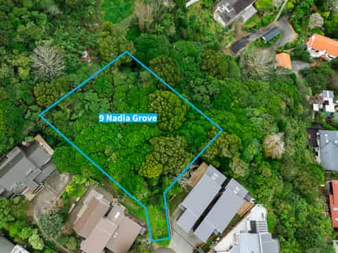9 Nadia Grove & 14 Amapur Drive, Khandallah