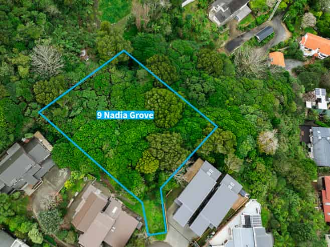 9 Nadia Grove & 14 Amapur Drive, Khandallah