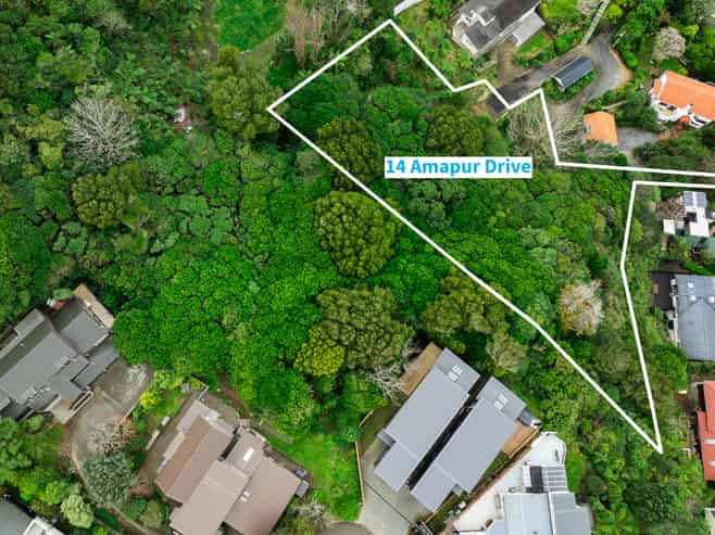 9 Nadia Grove & 14 Amapur Drive, Khandallah