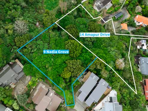 9 Nadia Grove & 14 Amapur Drive, Khandallah