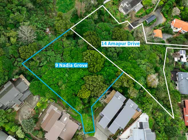 9 Nadia Grove & 14 Amapur Drive, Khandallah