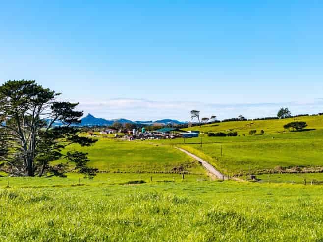 Lot 2 454 West Coast Road, Te Kopuru