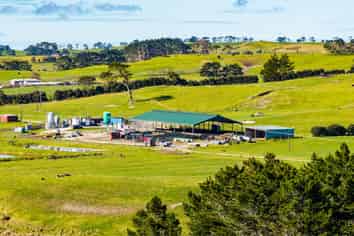 Lot 2 454 West Coast Road, Te Kopuru