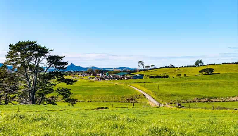 454 West Coast Road, Te Kopuru