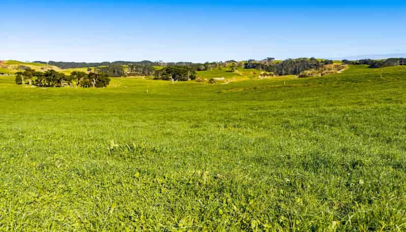 454 West Coast Road, Te Kopuru
