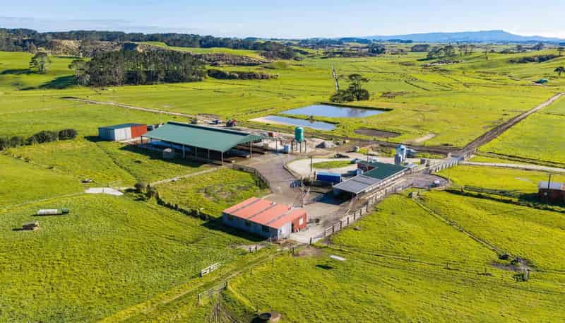 454 West Coast Road, Te Kopuru