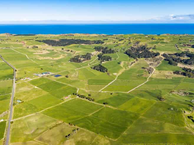 454 West Coast Road, Te Kopuru