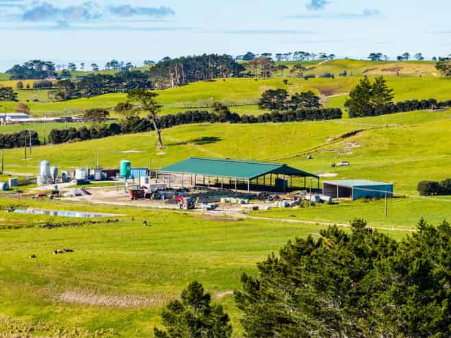 454 West Coast Road, Te Kopuru