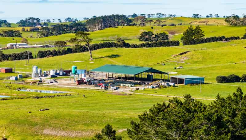 454 West Coast Road, Te Kopuru