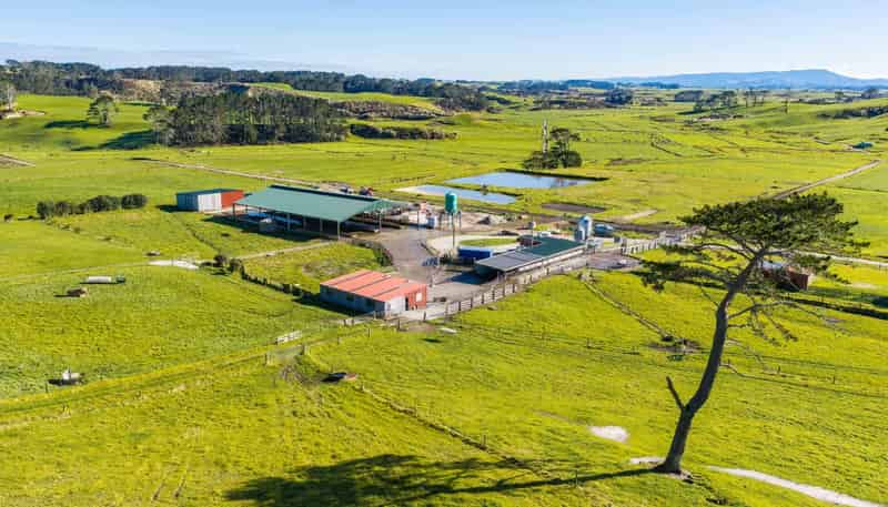454 West Coast Road, Te Kopuru