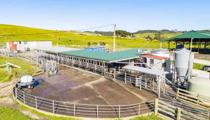 454 West Coast Road, Te Kopuru