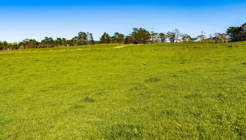 454 West Coast Road, Te Kopuru